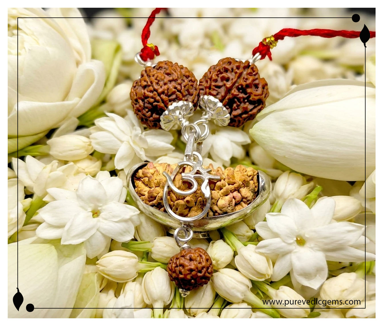 Rudraksha - Multiple Beads (3+) - Style 8