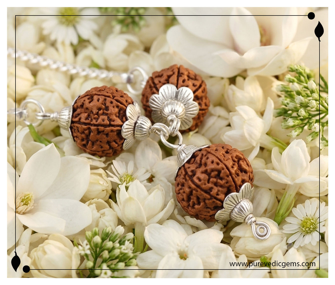 Rudraksha - Multiple Beads (3+) - Style 7