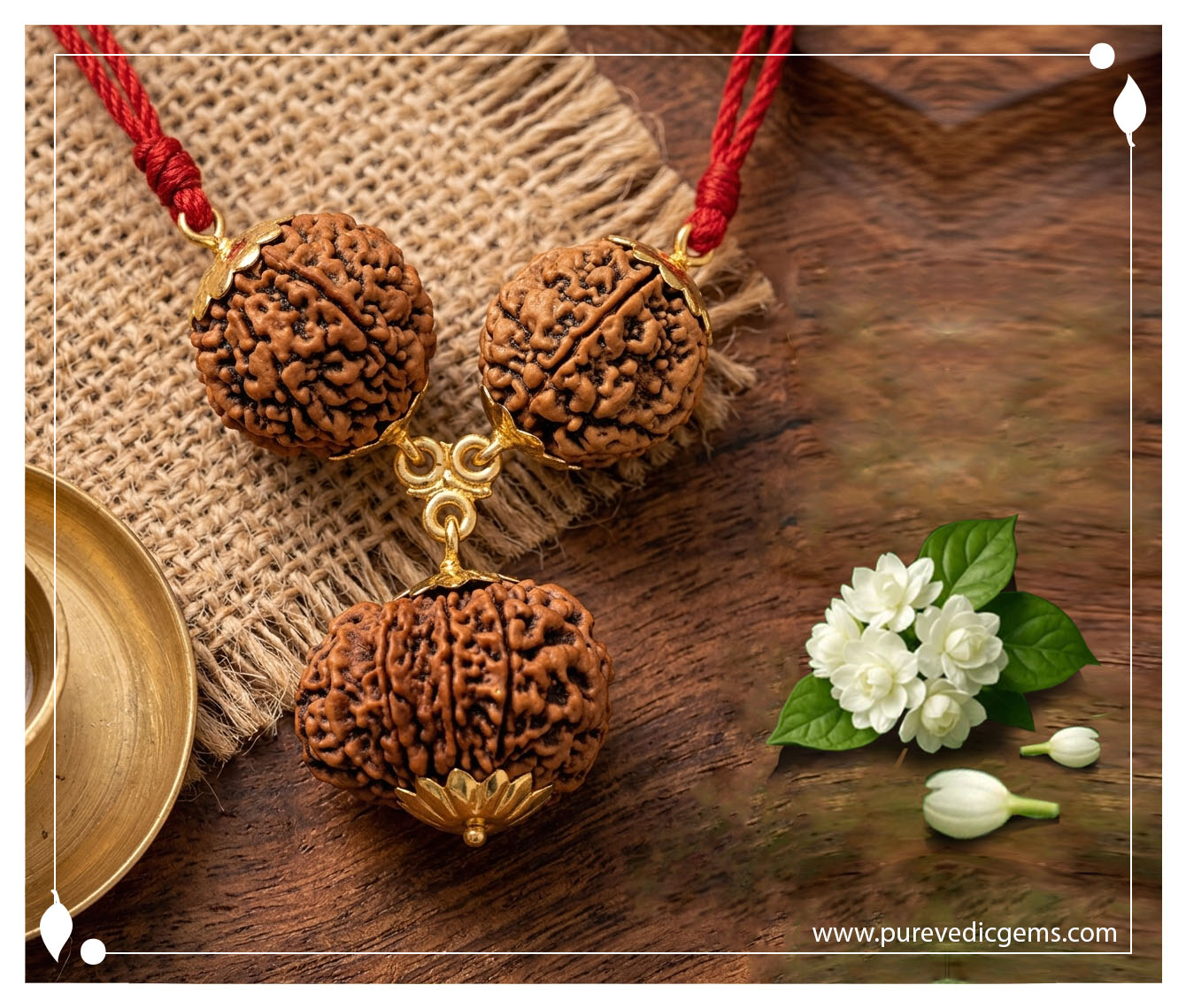 Rudraksha - Multiple Beads (3+)