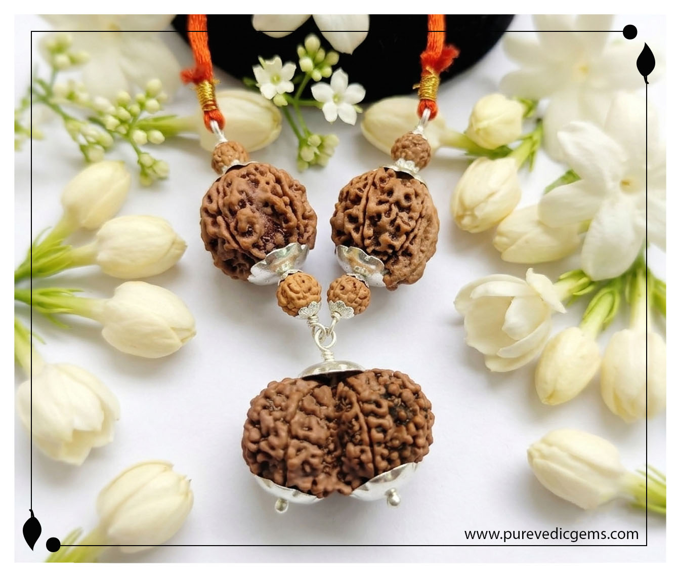 Rudraksha - Multiple Beads (3+) - Style 6