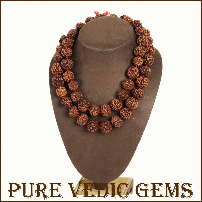 Five Mukhi Rudraksha Mala