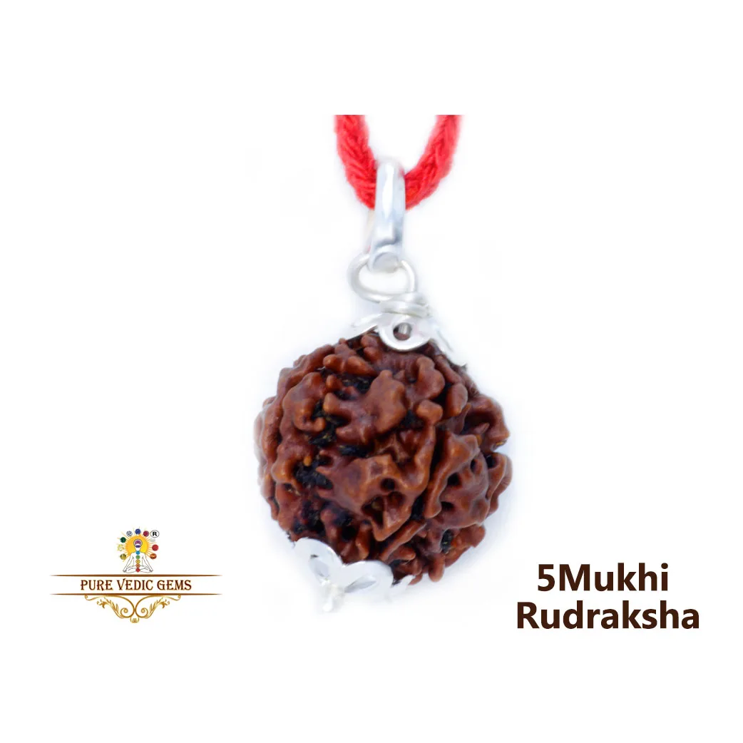 5 Mukhi Rudraksha Pendent in silver