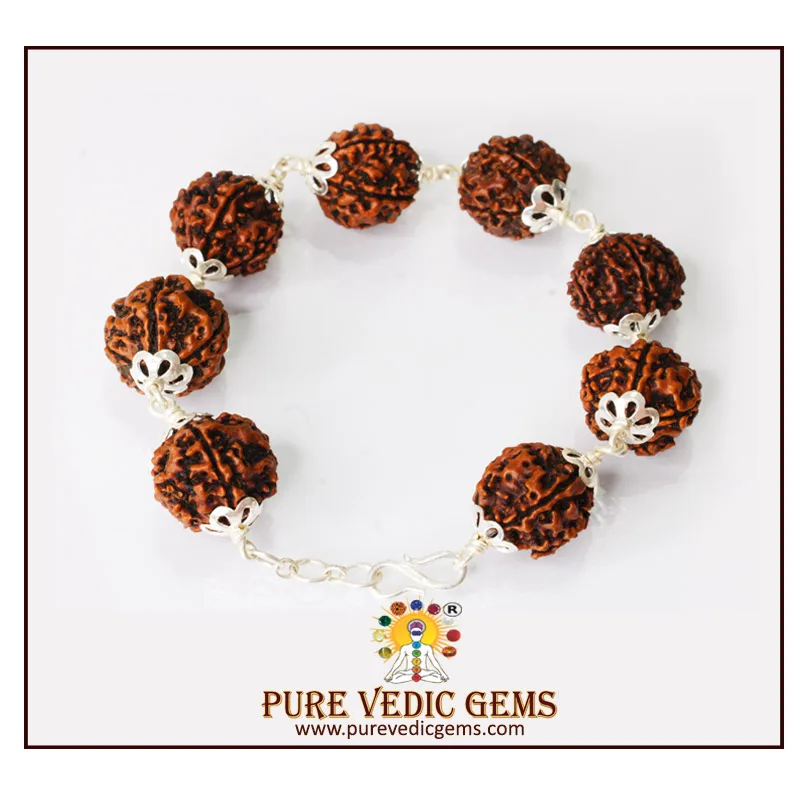 5 Mukhi Rudraksha Bracelet in Silver — image 1