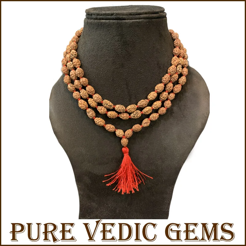 Three Mukhi Rudraksha Mala — image 1