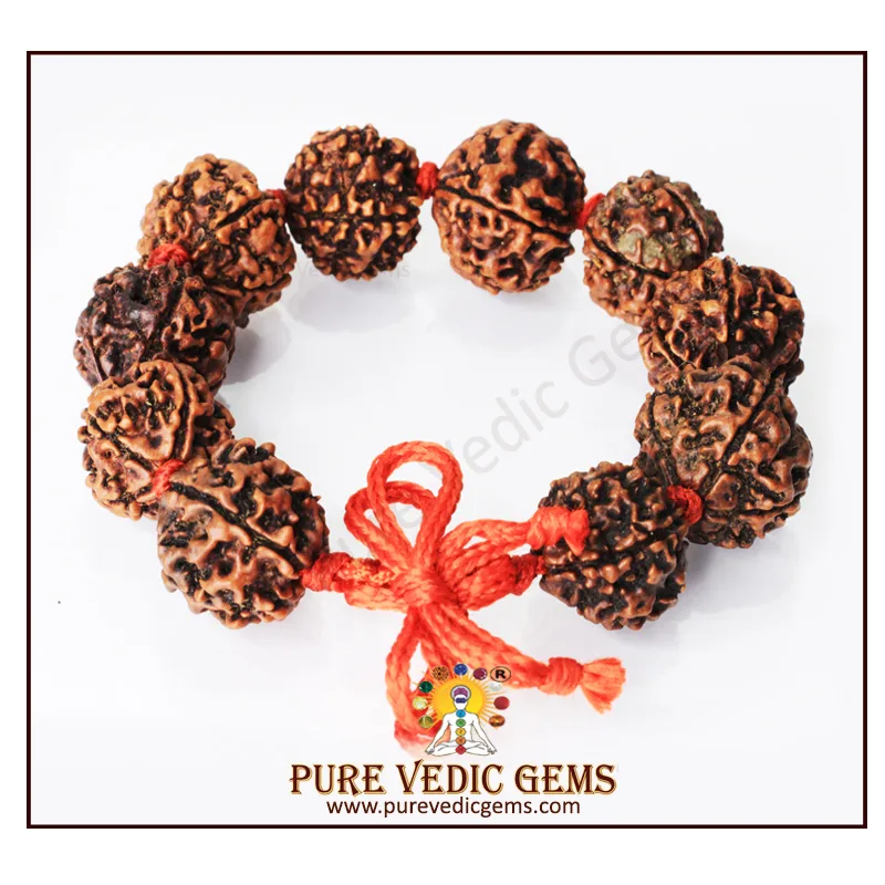 5 Mukhi Rudraksha Bracelet — image 1