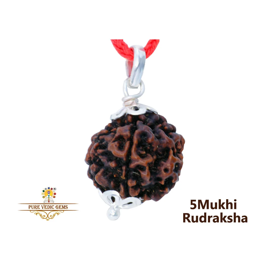 5 Mukhi Rudraksha Pendent in silver