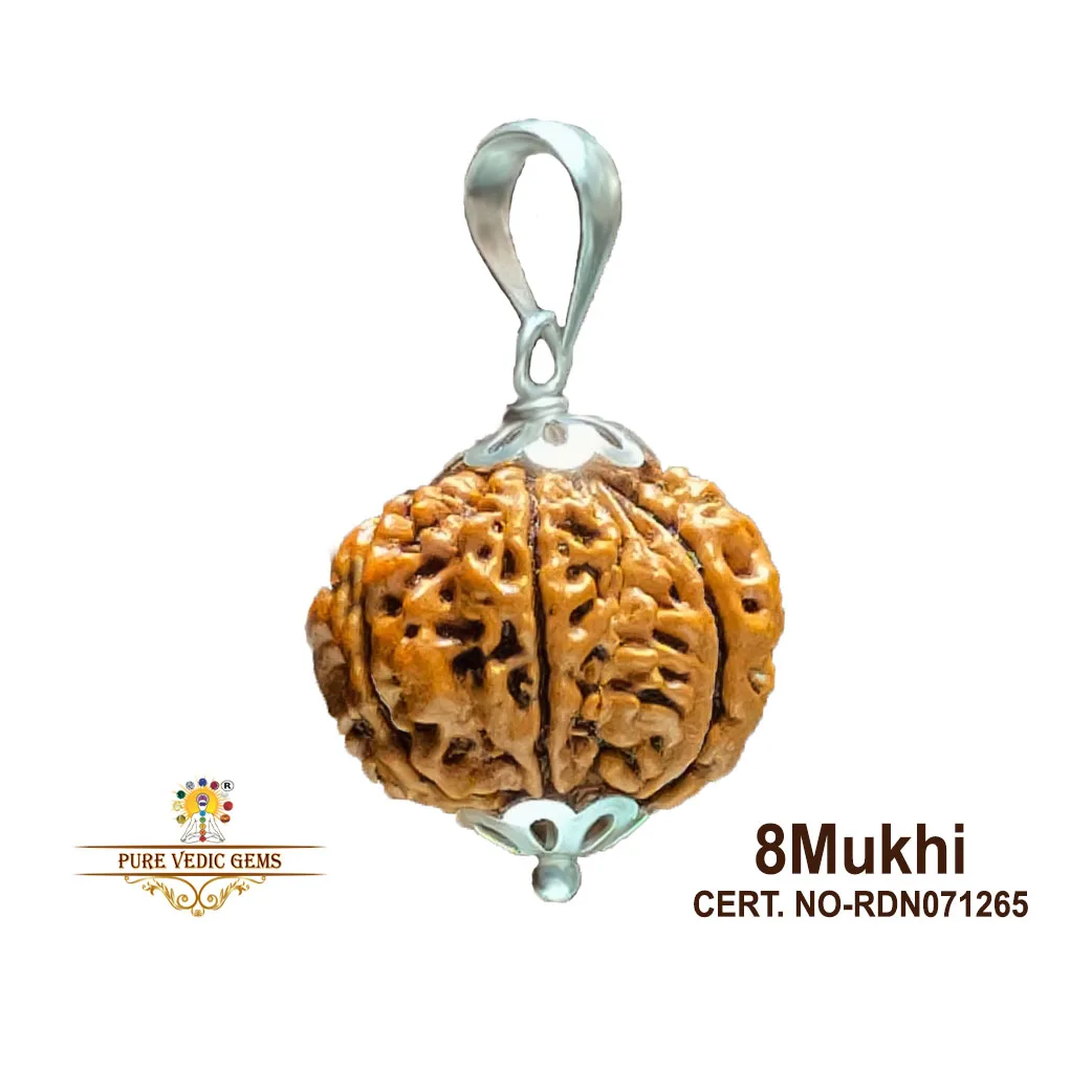 8 Mukhi natural rudraksha pendent in silver view 2