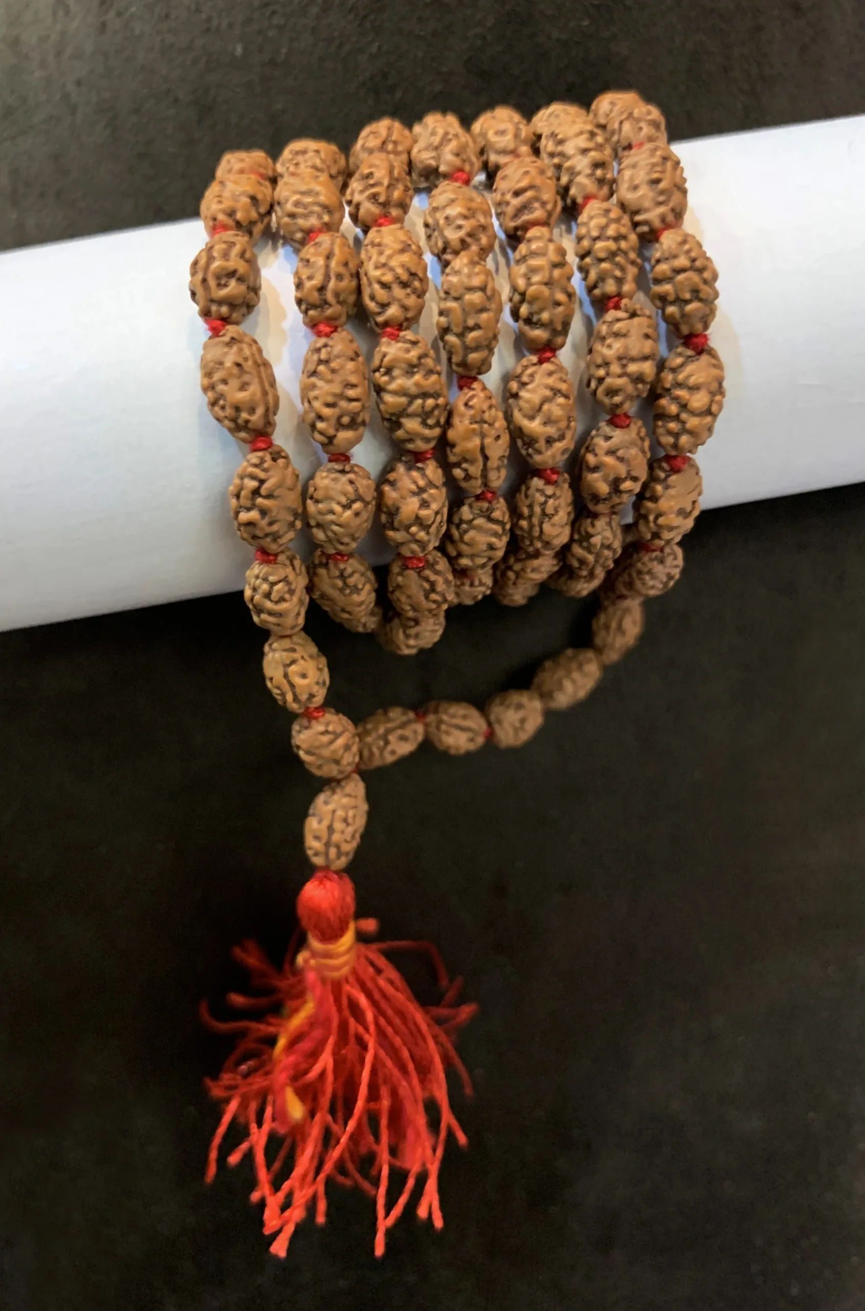 Two Mukhi Rudraksha Mala view 2