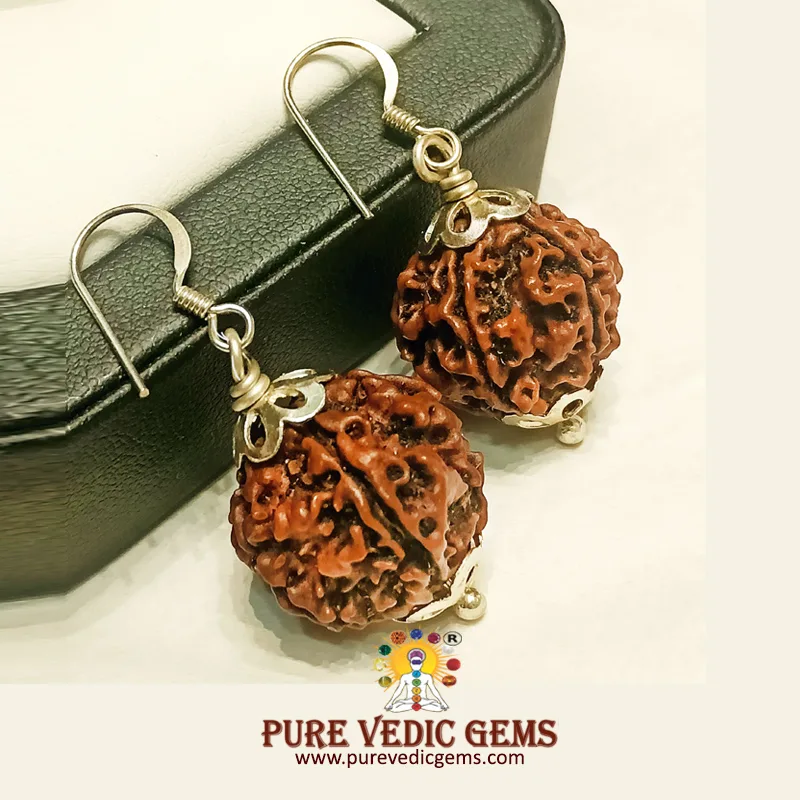 5 Mukhi natural rudraksha Tops in silver