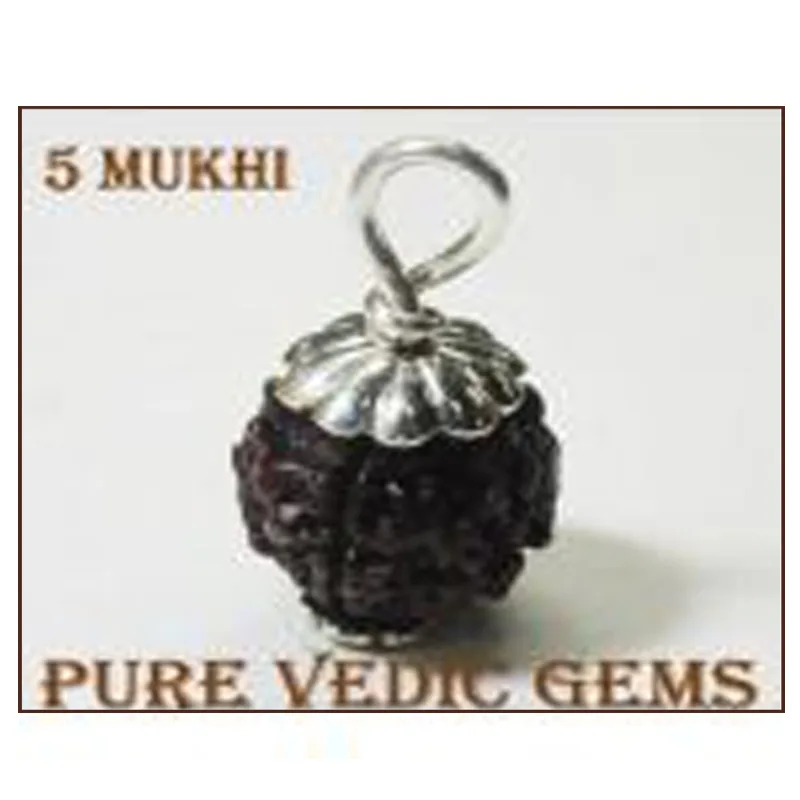 5 Mukhi natural rudraksha pendent in silver — image 1