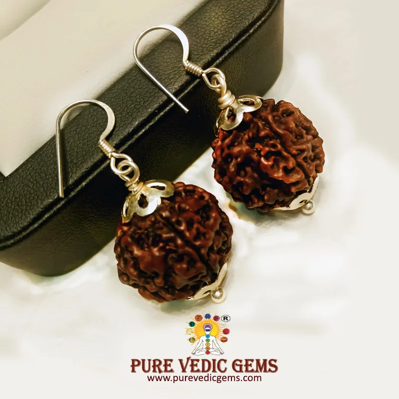 5 Mukhi natural rudraksha Tops in silver