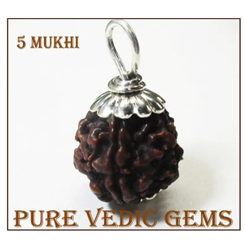 5 Mukhi natural rudraksha pendent in silver — image 1