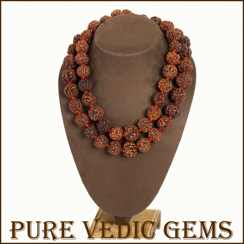 Five Mukhi Rudraksha Mala