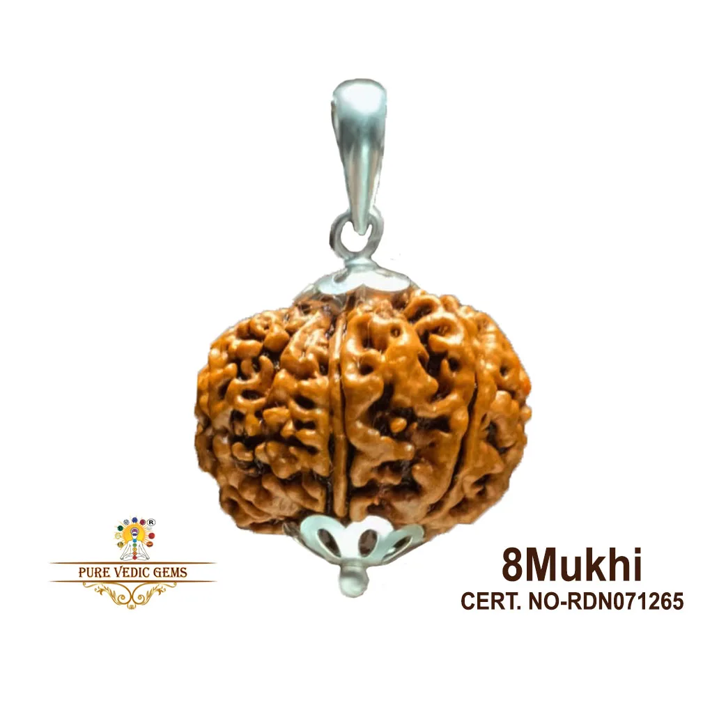 8 Mukhi natural rudraksha pendent in silver