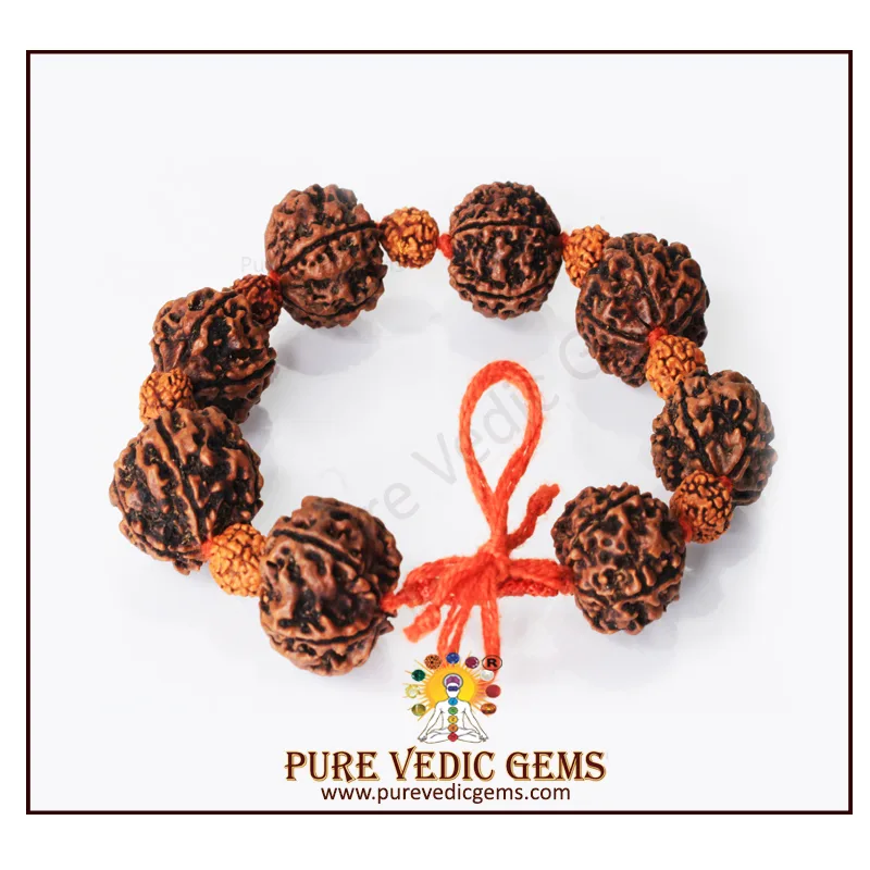 5 Mukhi Rudraksha Bracelet — image 1
