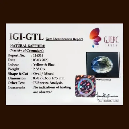 Pitambari 2.88 ct. view 2