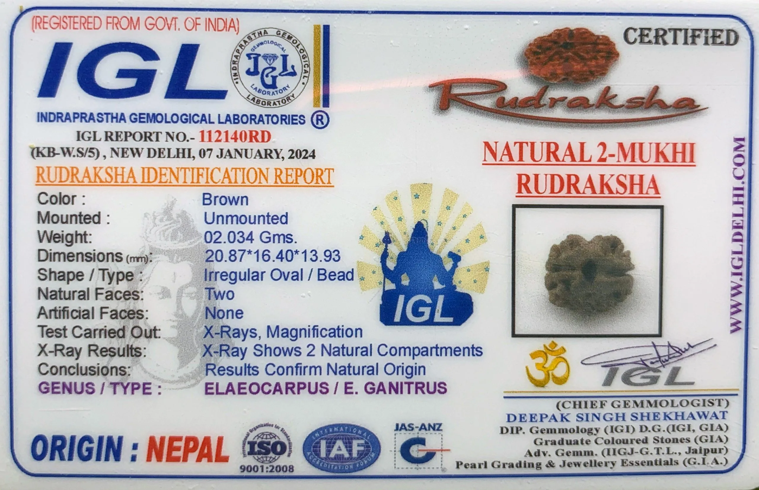 2 Mukhi Rudraksha (2.034g) On Demand view 2