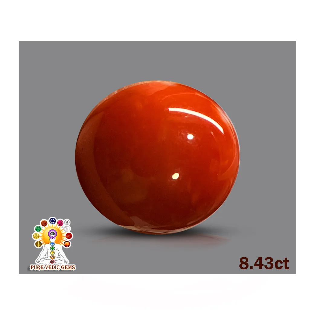 Japanese Red Coral 8.43ct. — image 1