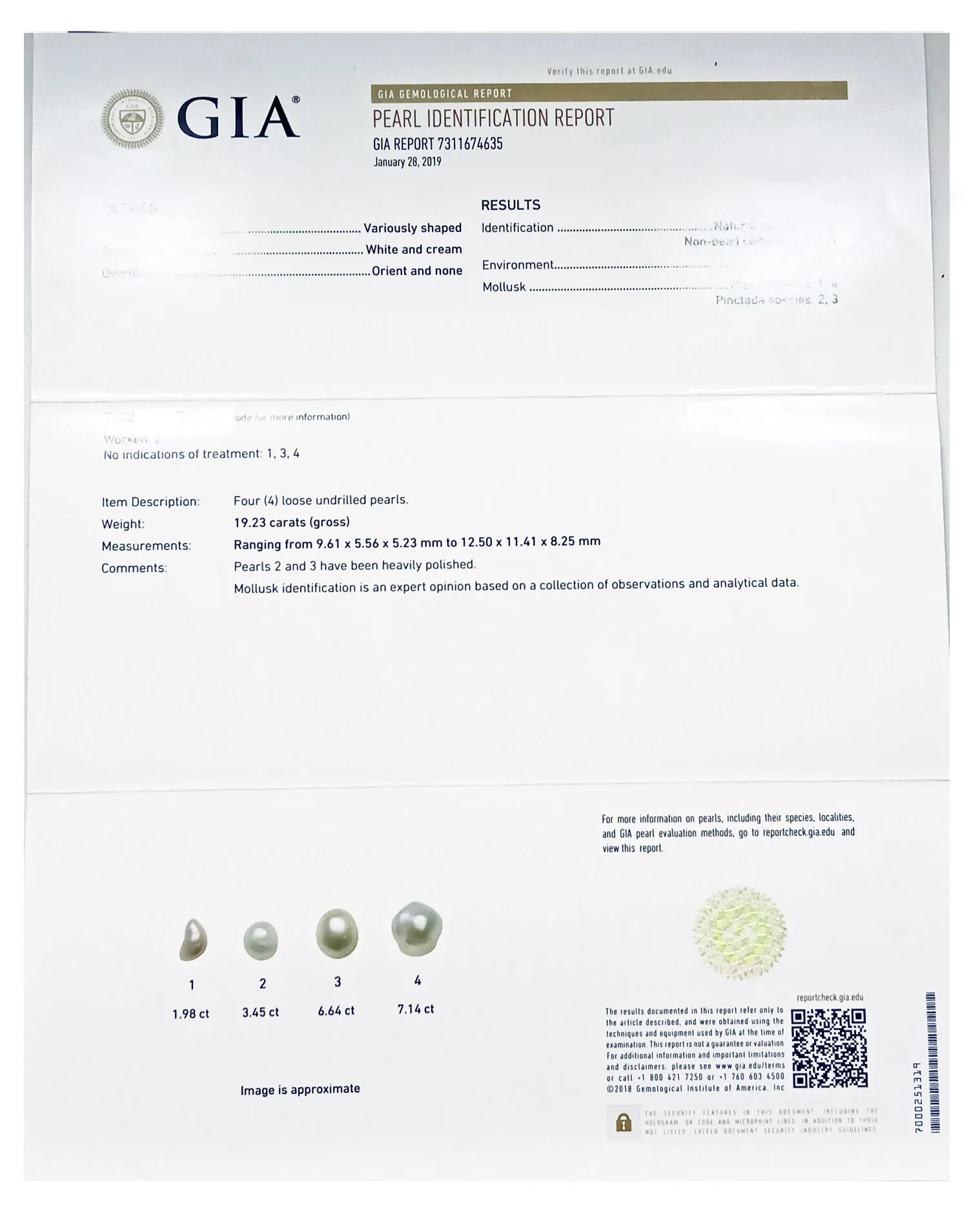 Basra Pearl 7.14ct.On-Demand view 2