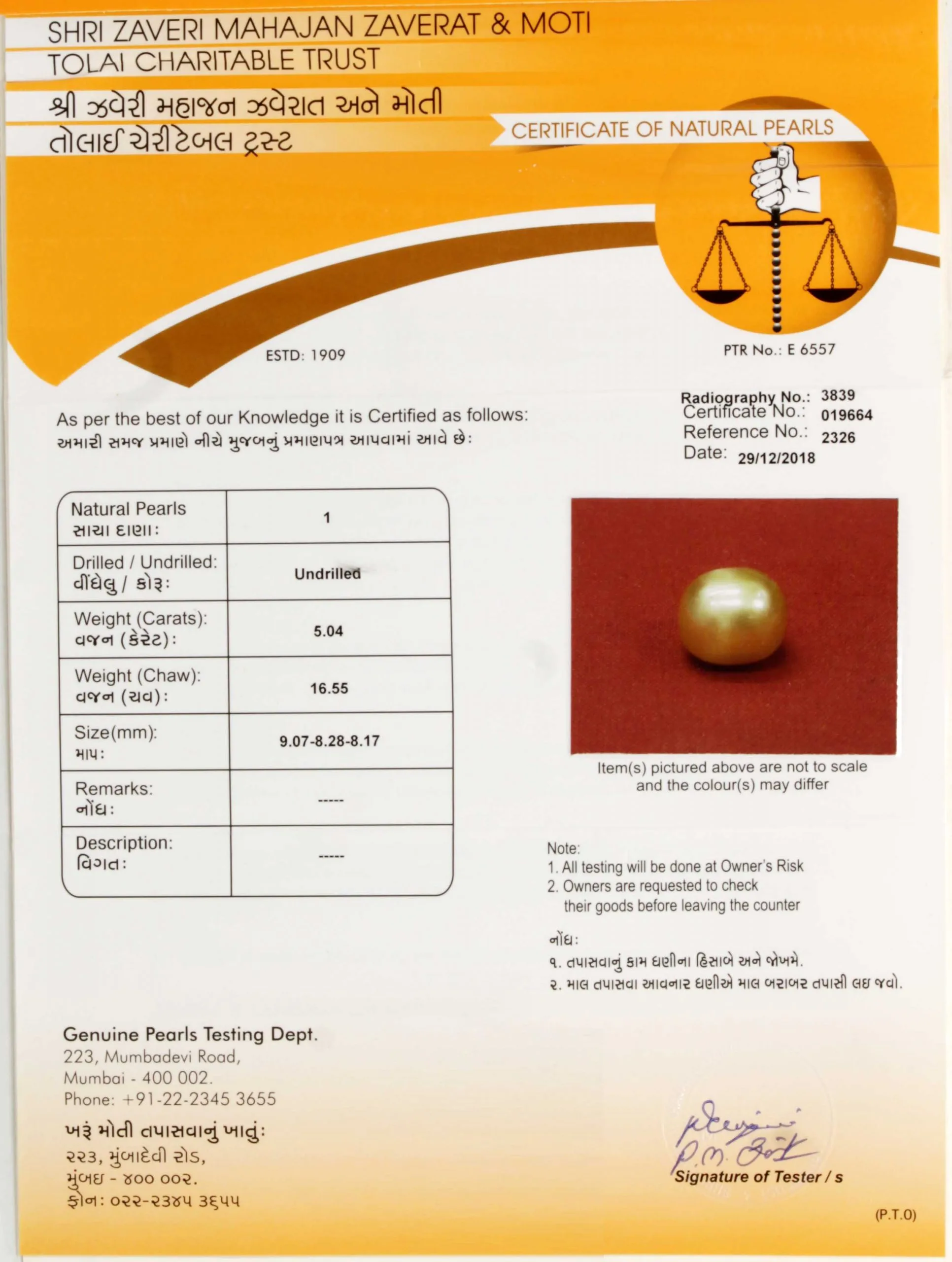 venezuela Pearl 5.04ct.On-Demand view 2