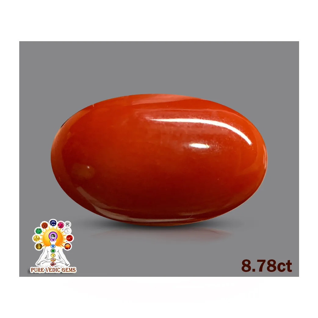Japanese Red Coral 8.78ct. — image 1