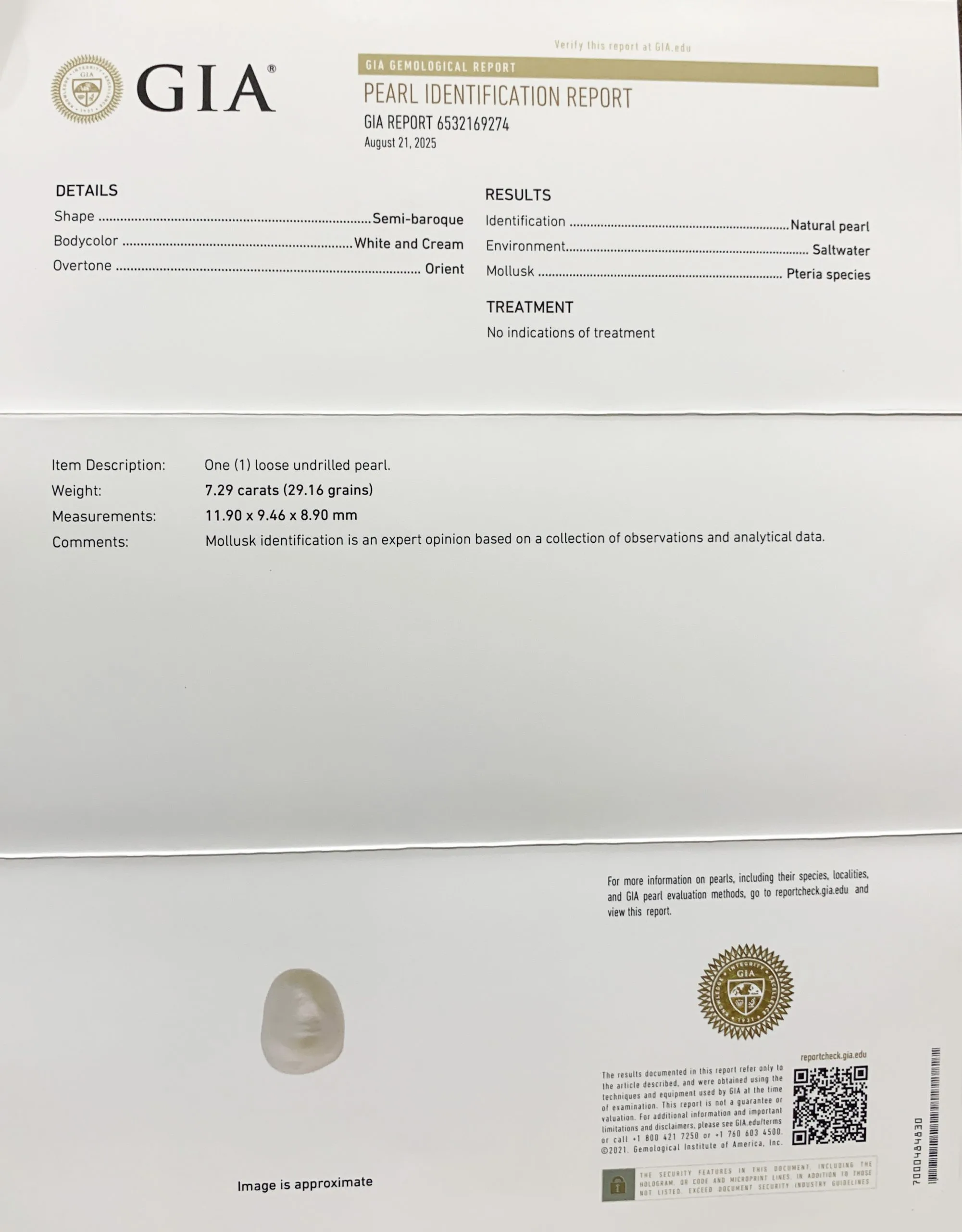 Basra Pearl 7.29ct.On-Demand view 2
