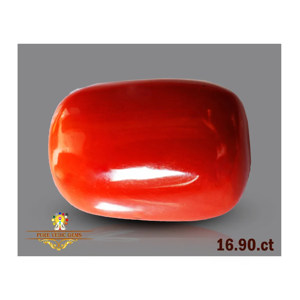 Red Coral 16.90ct.