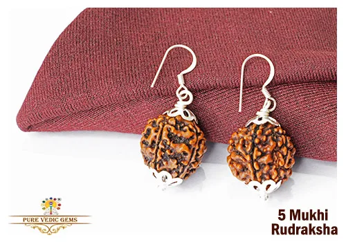5 Mukhi natural rudraksha tops in silver