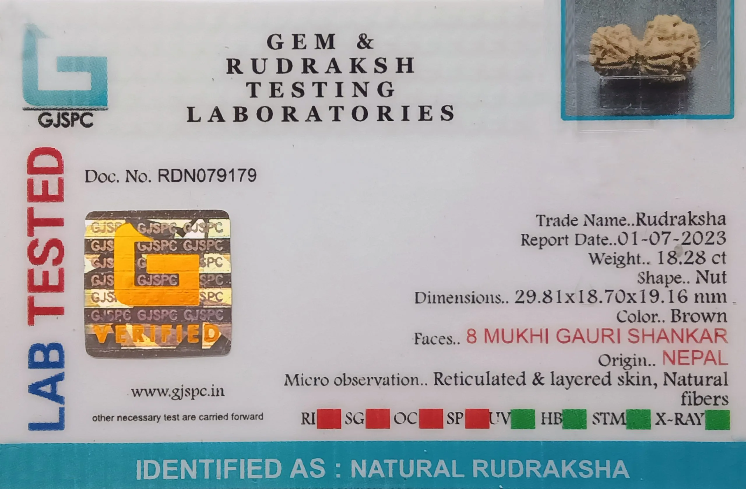 Gauri Shankar (3.656g) view 2