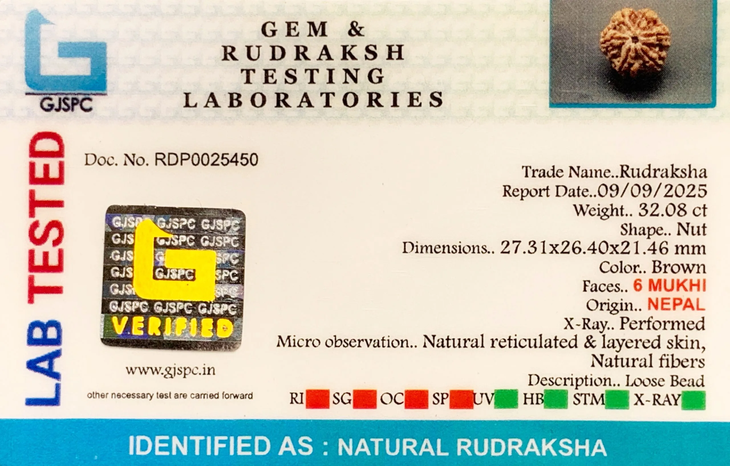 6 Mukhi Rudraksha (6.416g) view 2
