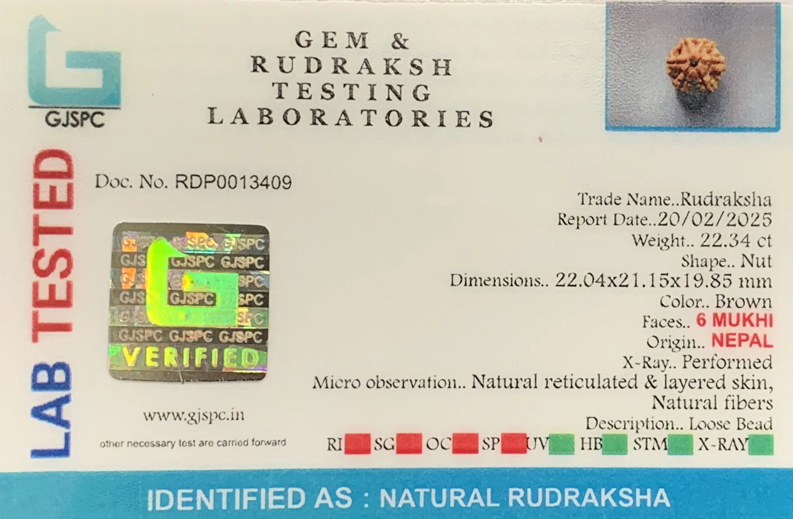 6 Mukhi Rudraksha (4.468g) view 2
