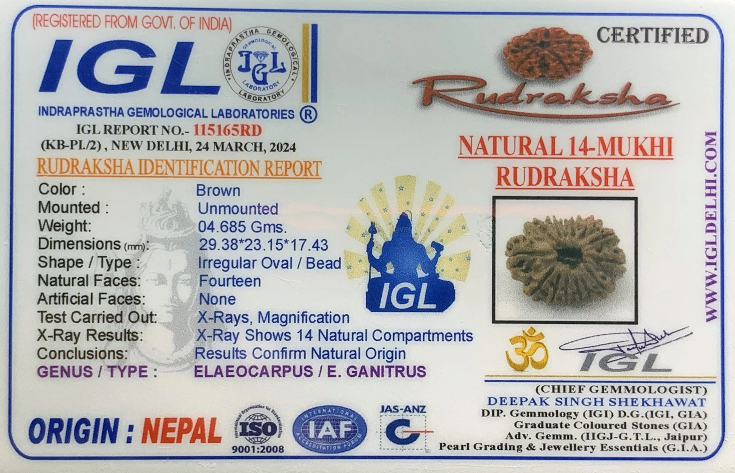 14Mukhi Rudraksha (4.685mg) On Demand view 2