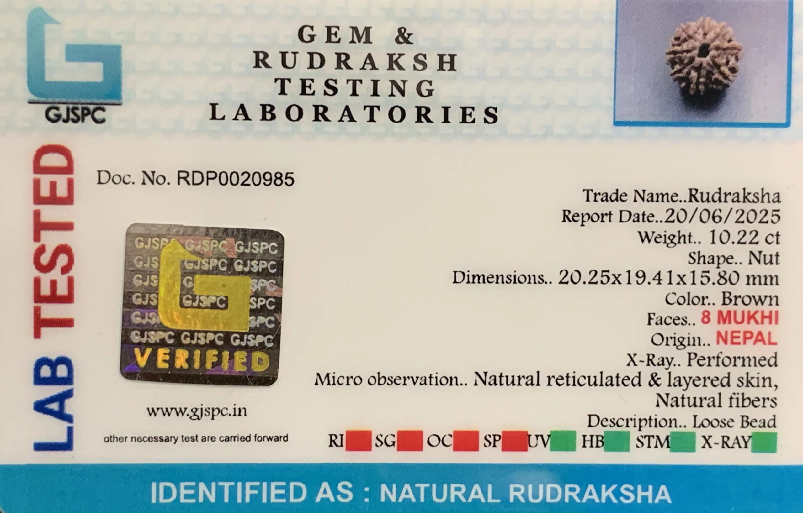 8 Mukhi Rudraksha (2.044mg) view 2