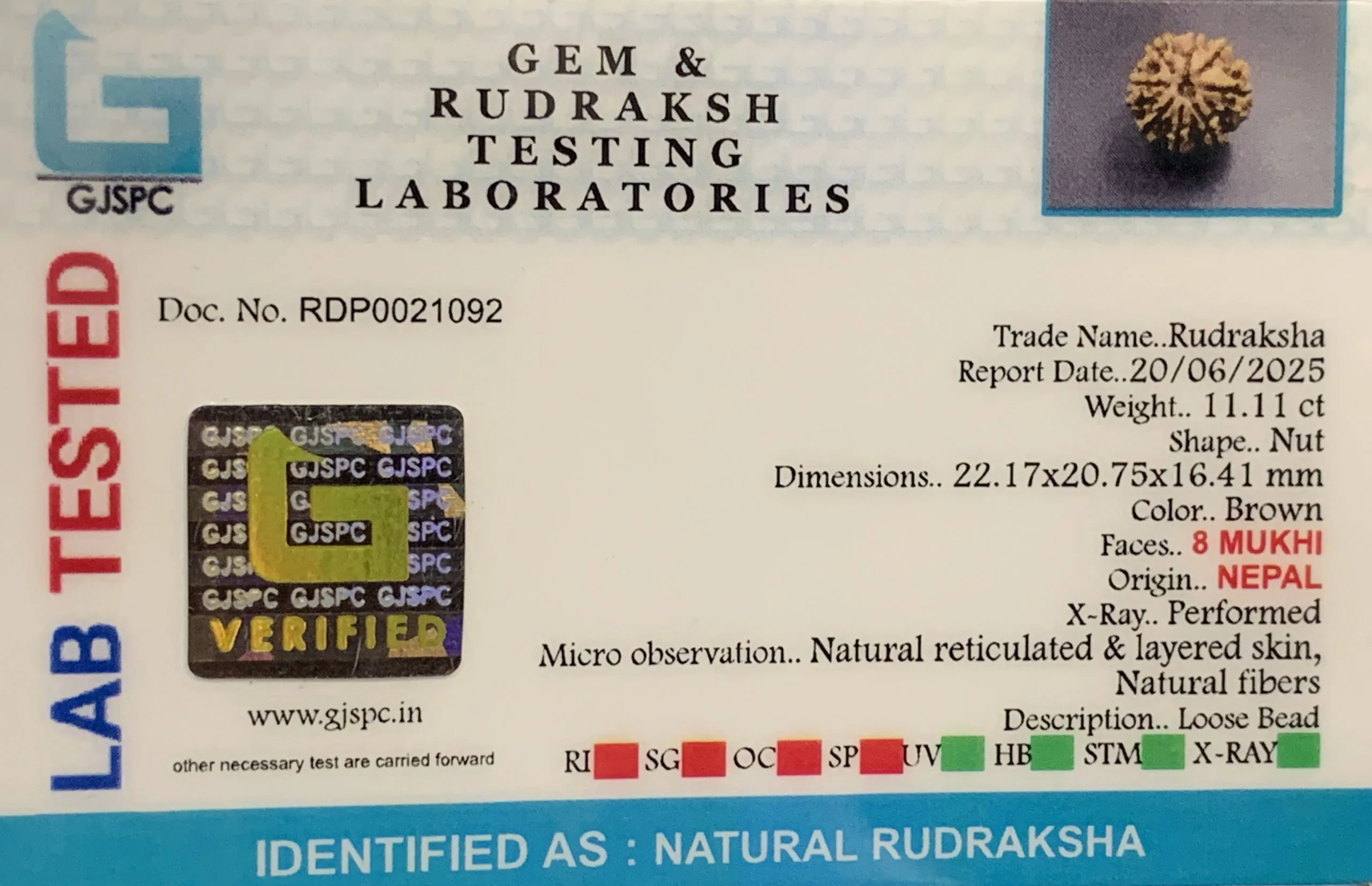 8 Mukhi Rudraksha (2.222mg) view 2