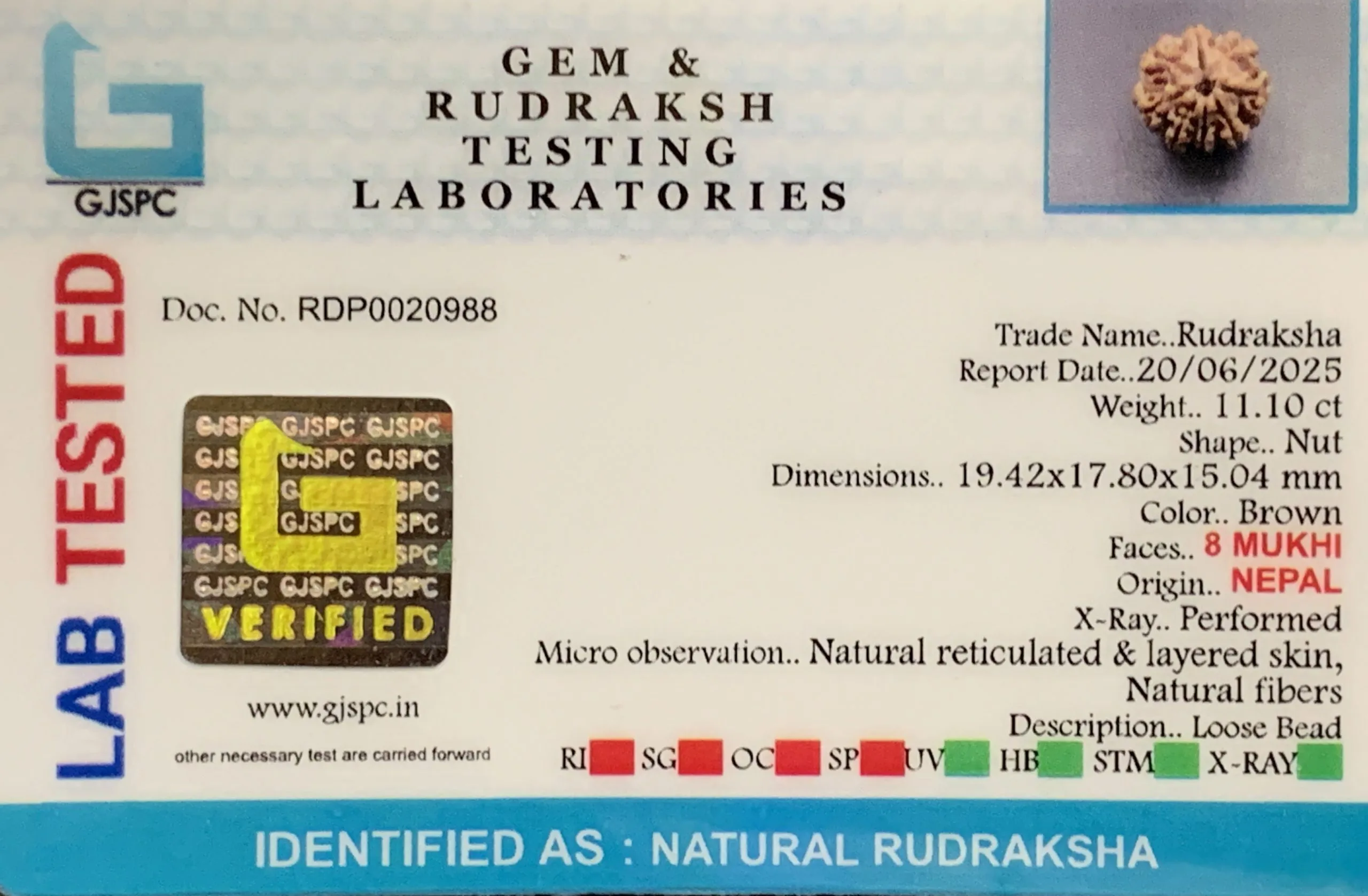 8 Mukhi Rudraksha (2.220mg) view 2