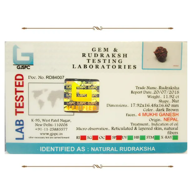 Ganesh Rudraksha (2.384g) view 2
