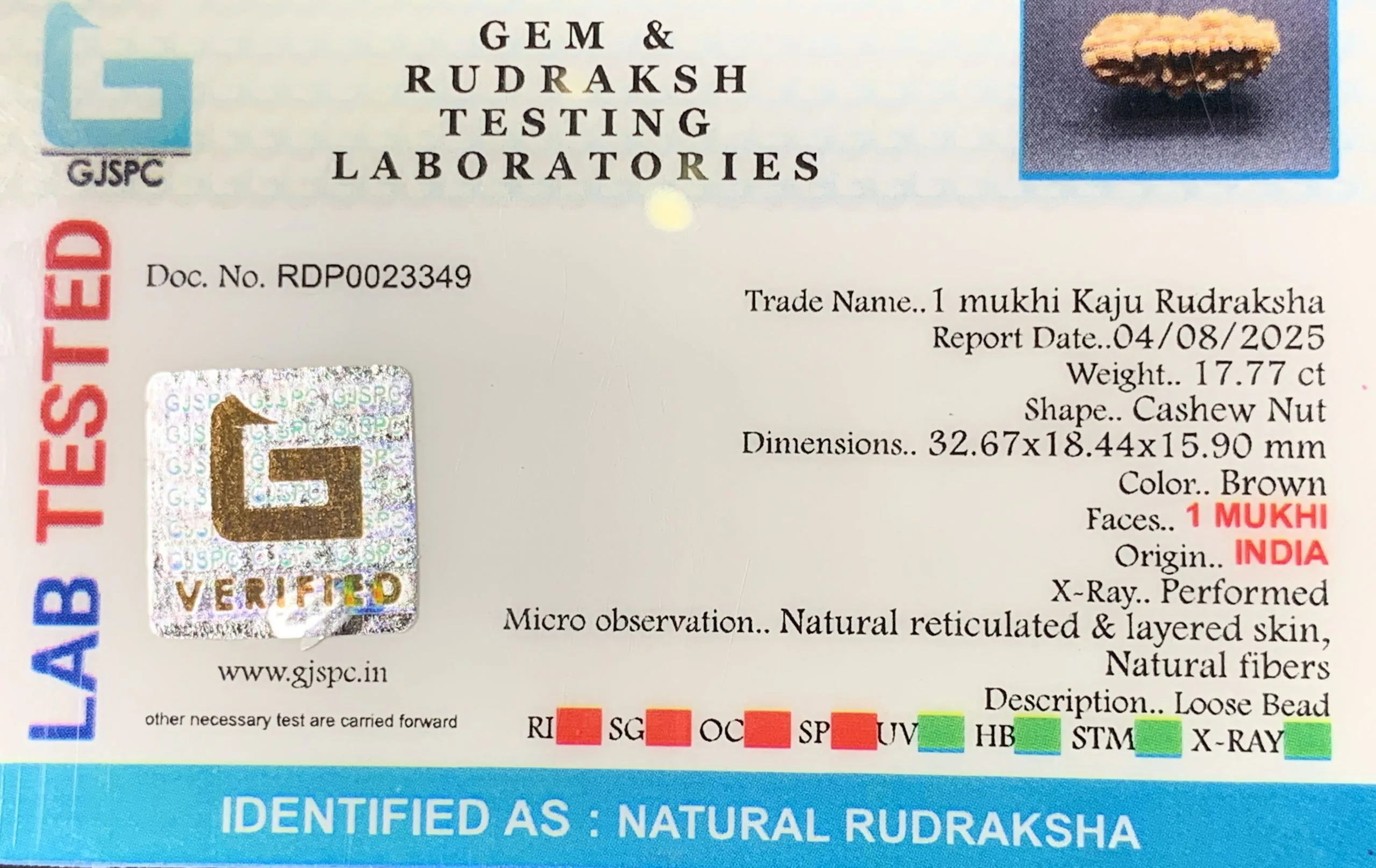 1 Mukhi Rudraksha (3.554g) view 2