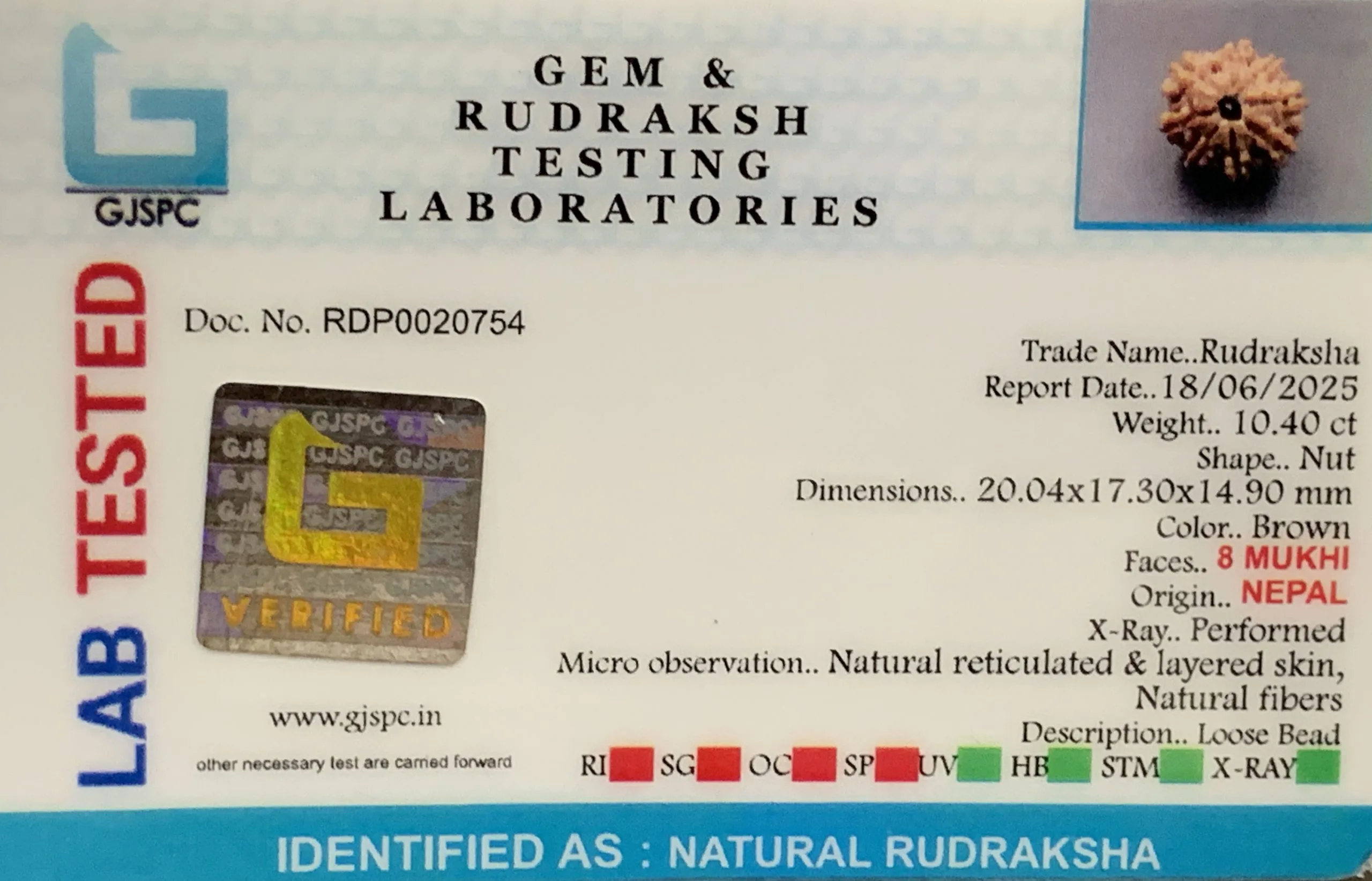8 Mukhi Rudraksha (2.080mg) view 2