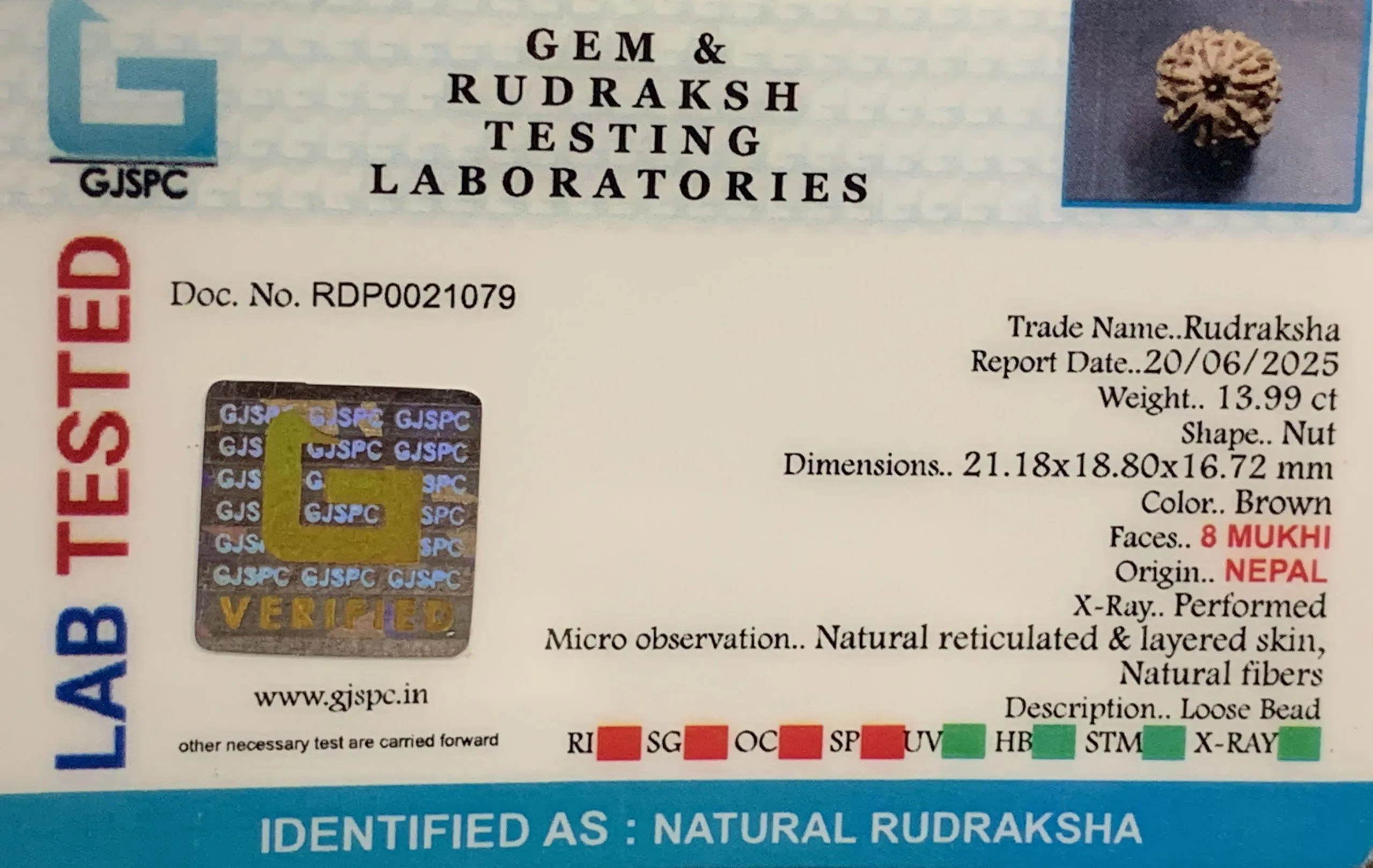 8 Mukhi Rudraksha (2.798mg) view 2