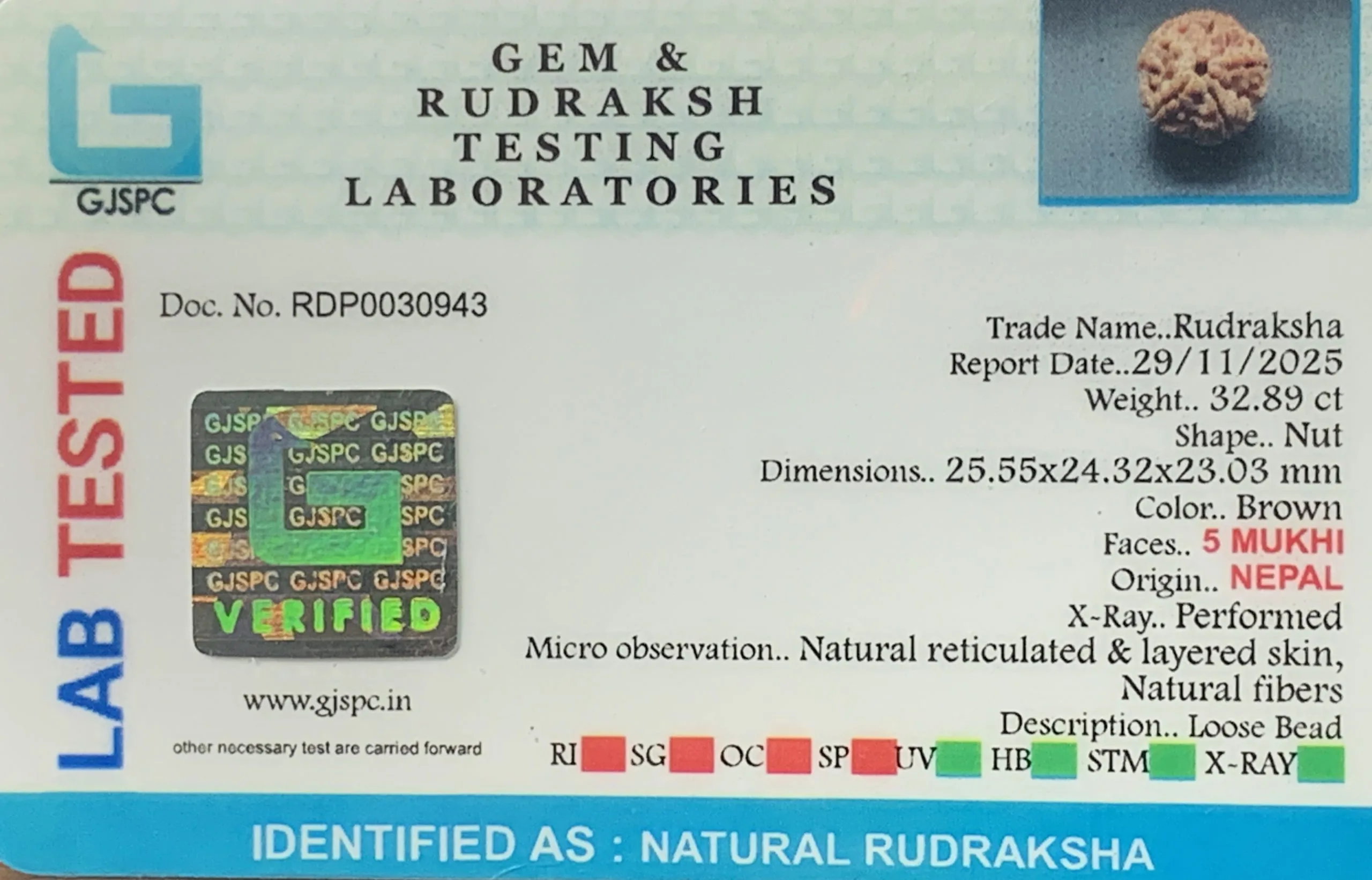 5 Mukhi Rudraksha (6.578g) view 2