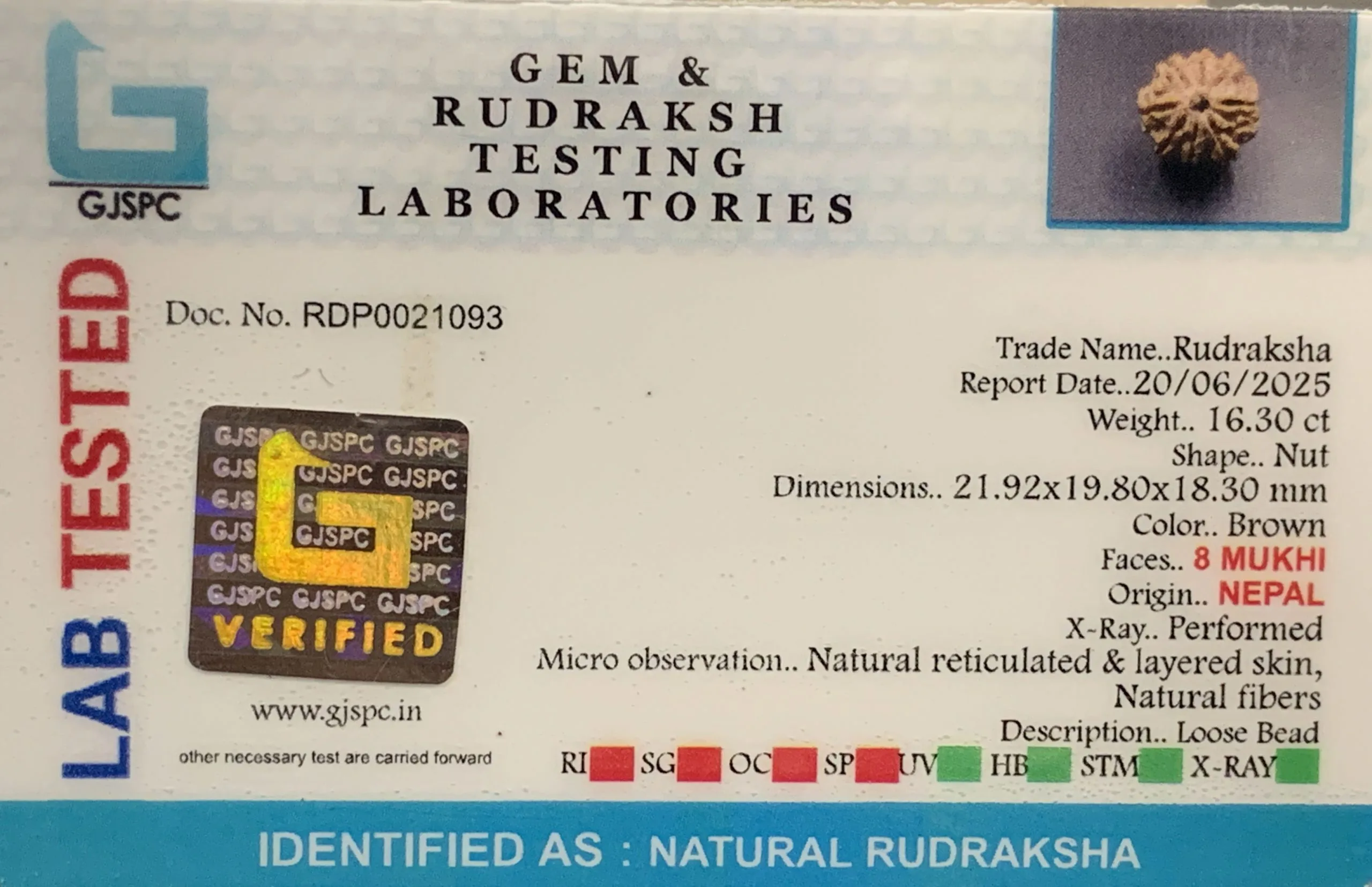 8 Mukhi Rudraksha (3.260mg) view 2