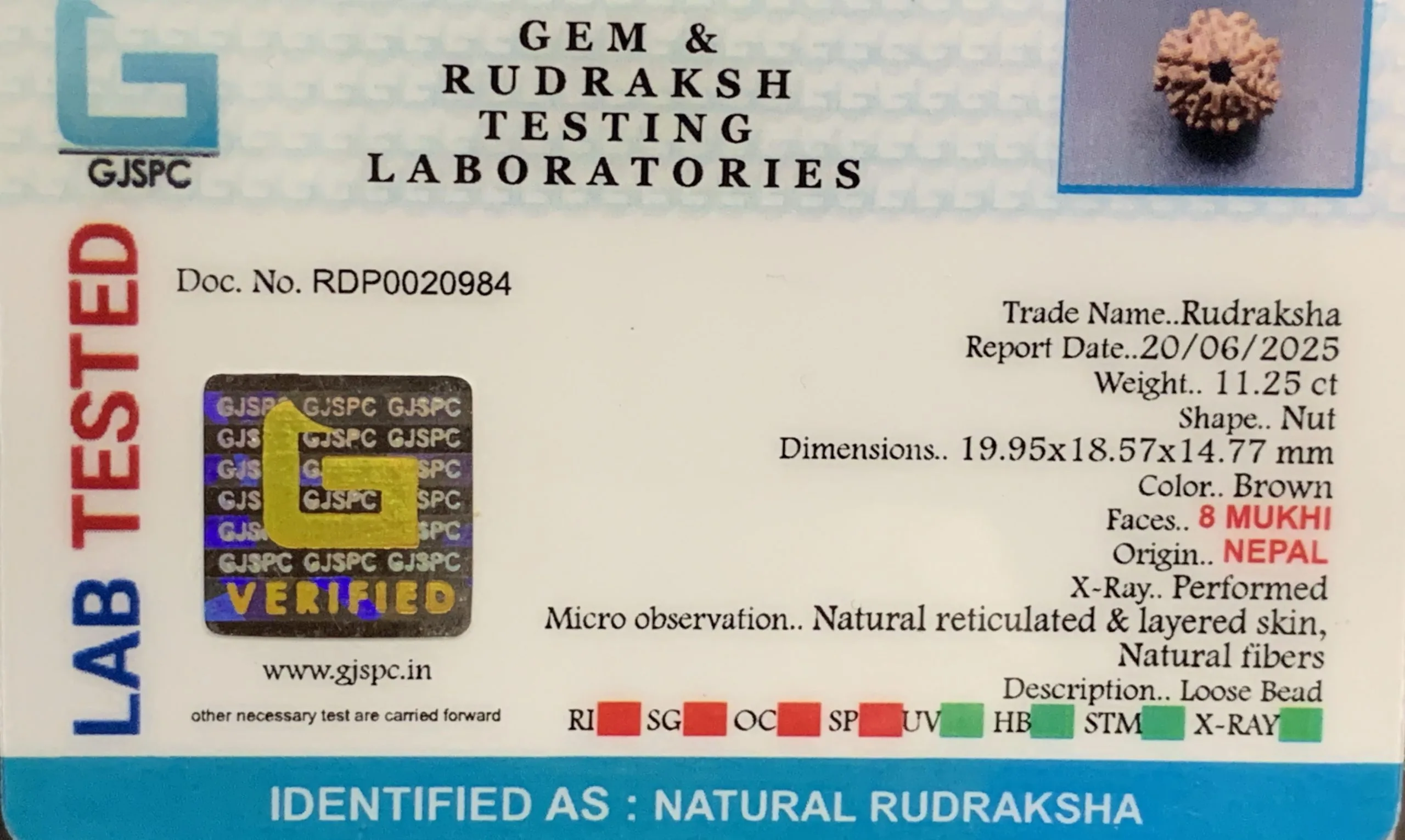 8 Mukhi Rudraksha (2.250mg) view 2