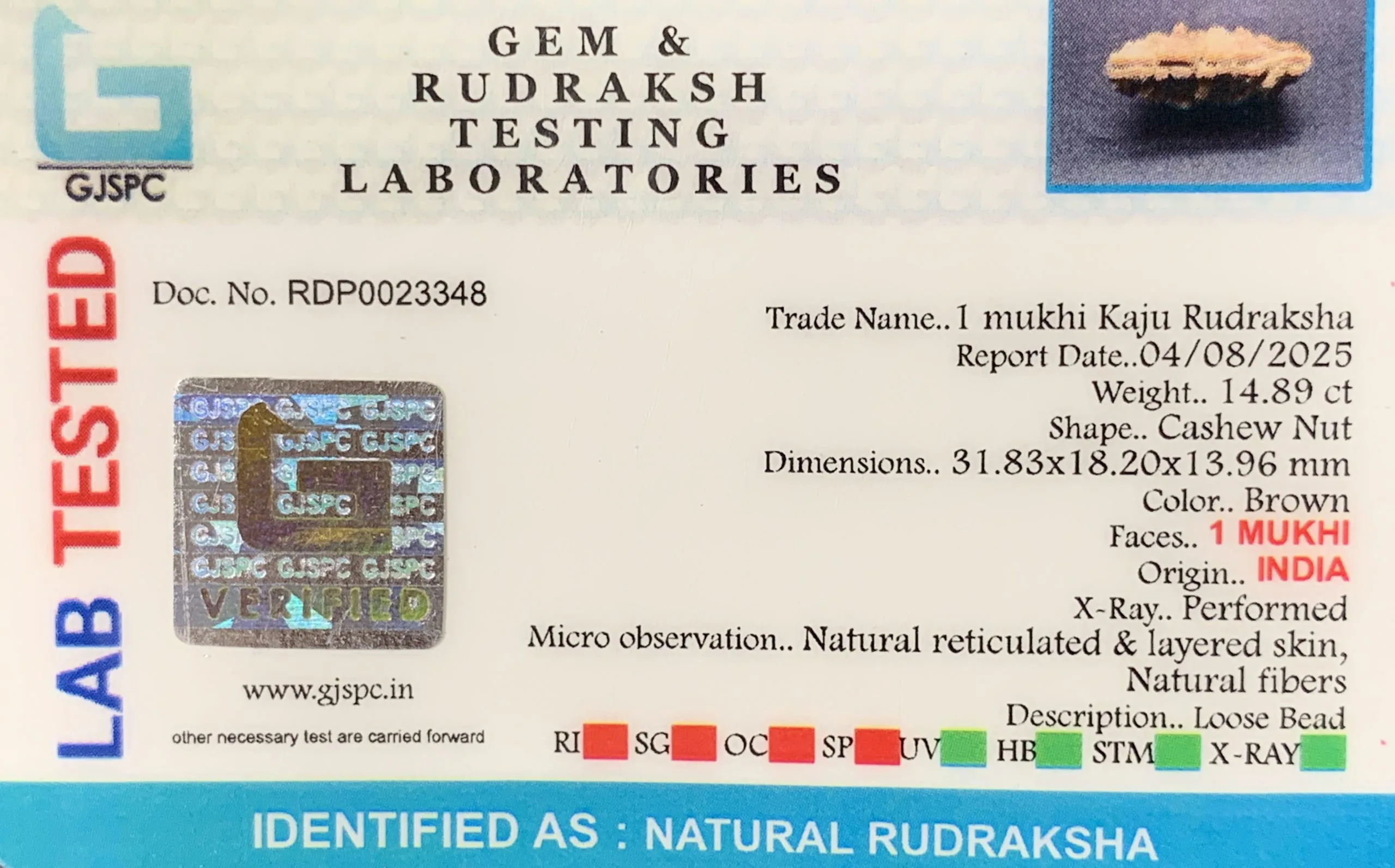 1 Mukhi Rudraksha (2.978g) view 2