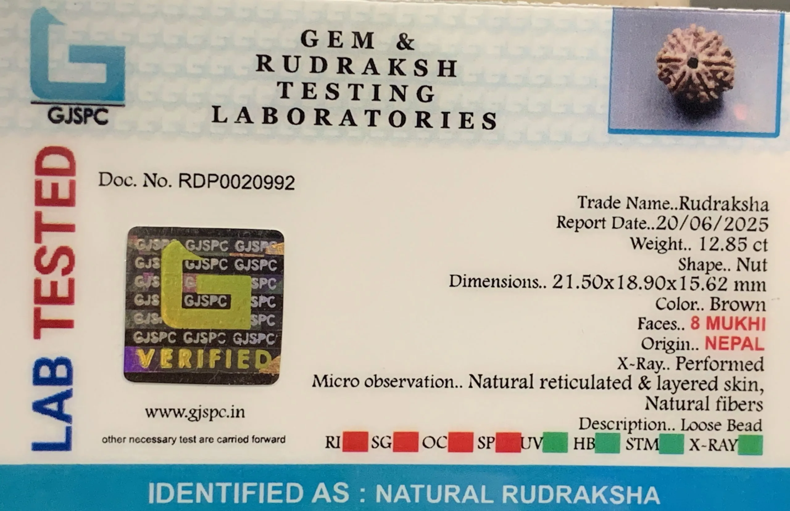 8 Mukhi Rudraksha (2.570mg) view 2