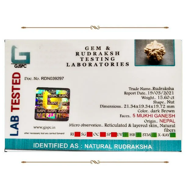 Ganesh Rudraksha (3.120g) view 2