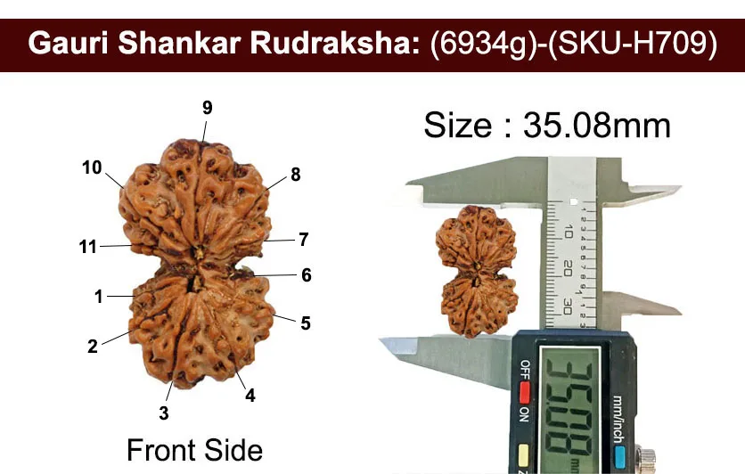 Gauri Shankar (6.934g) view 3