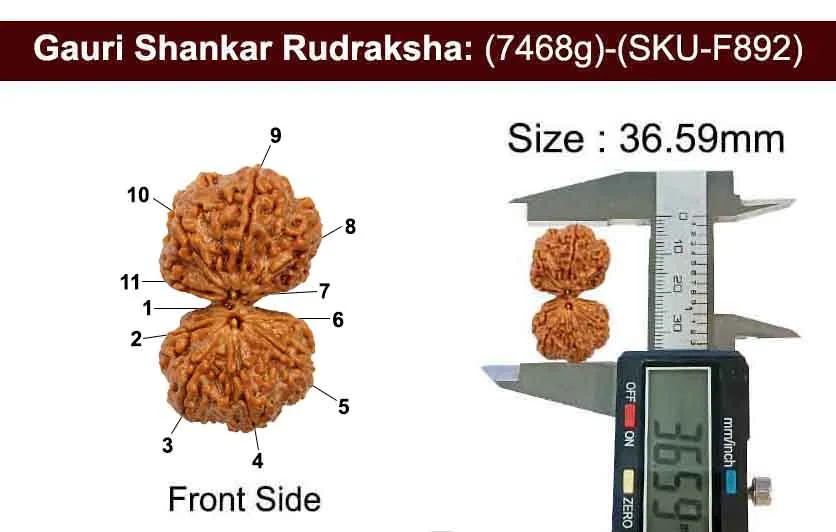 Gauri Shankar (7.468g) view 3