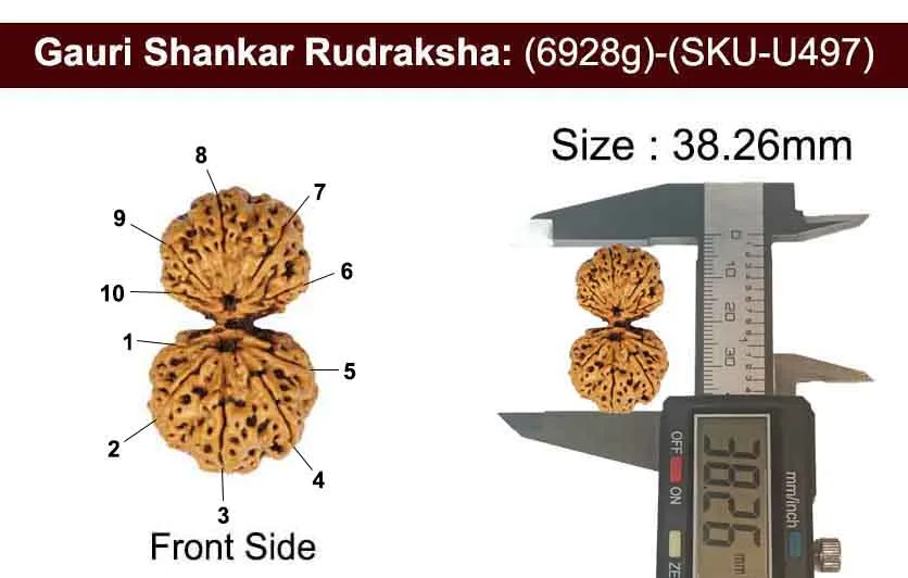 Gauri Shankar (6.928g) view 3