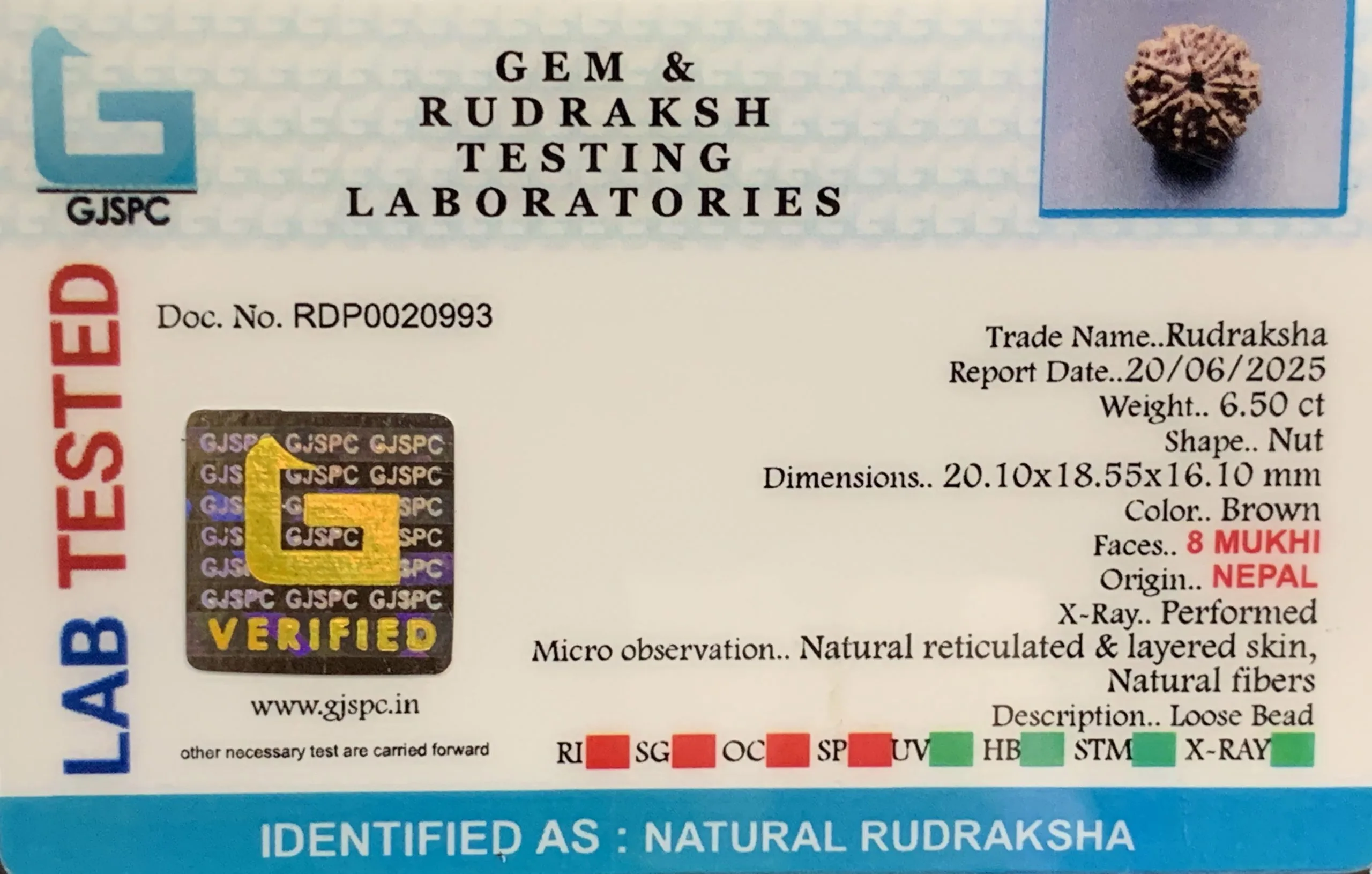 8 Mukhi Rudraksha (1.300mg) view 2