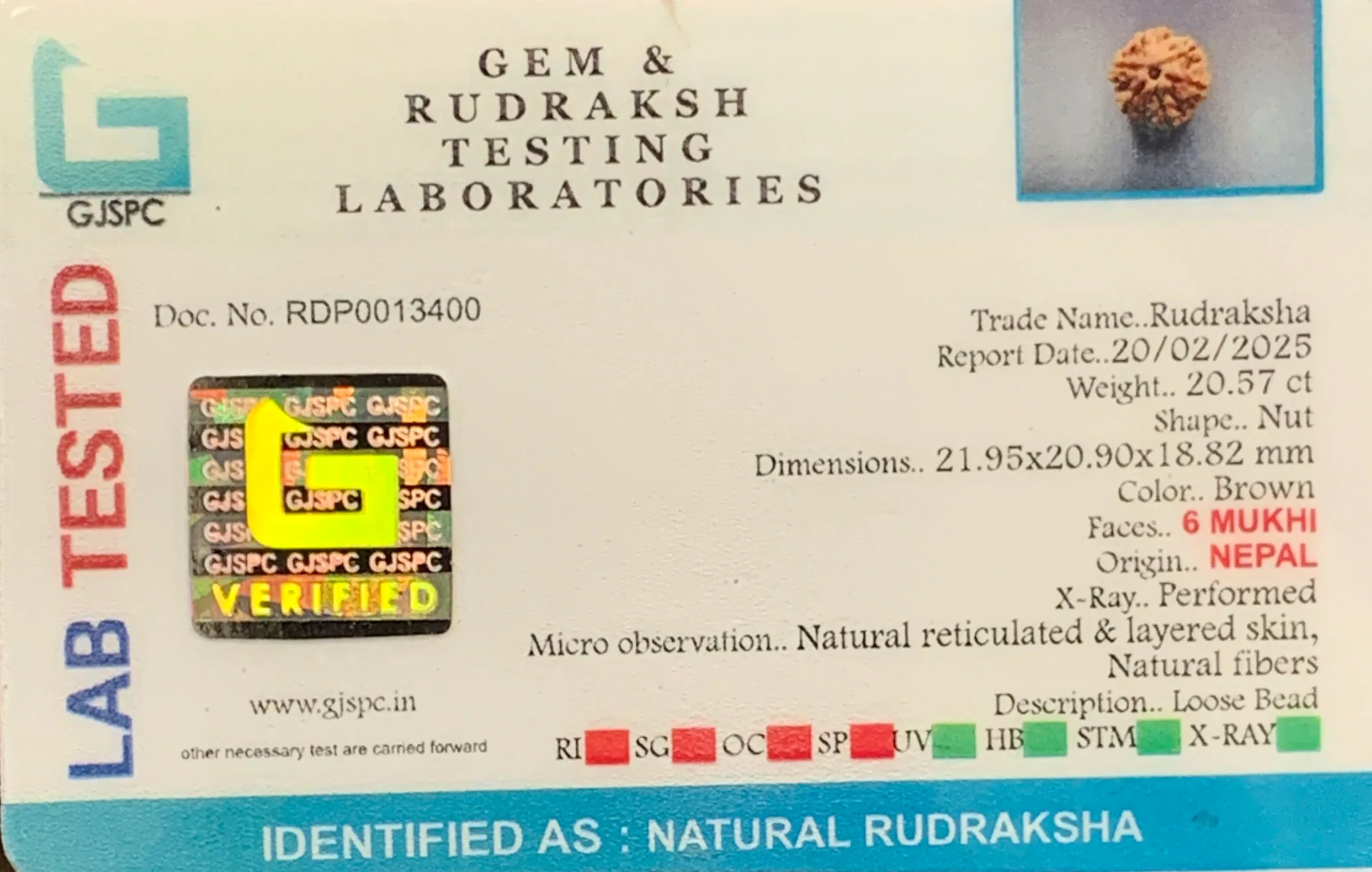 6 Mukhi Rudraksha (4.114g) view 2
